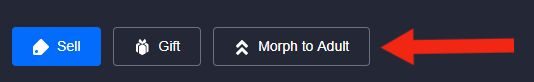 morph-8055792